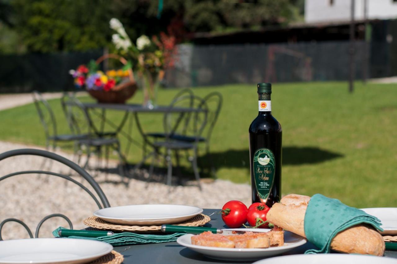 Agriturismo Villa Sardini لوكا المظهر الخارجي الصورة