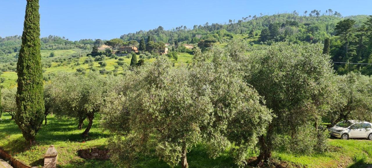 Agriturismo Villa Sardini لوكا المظهر الخارجي الصورة