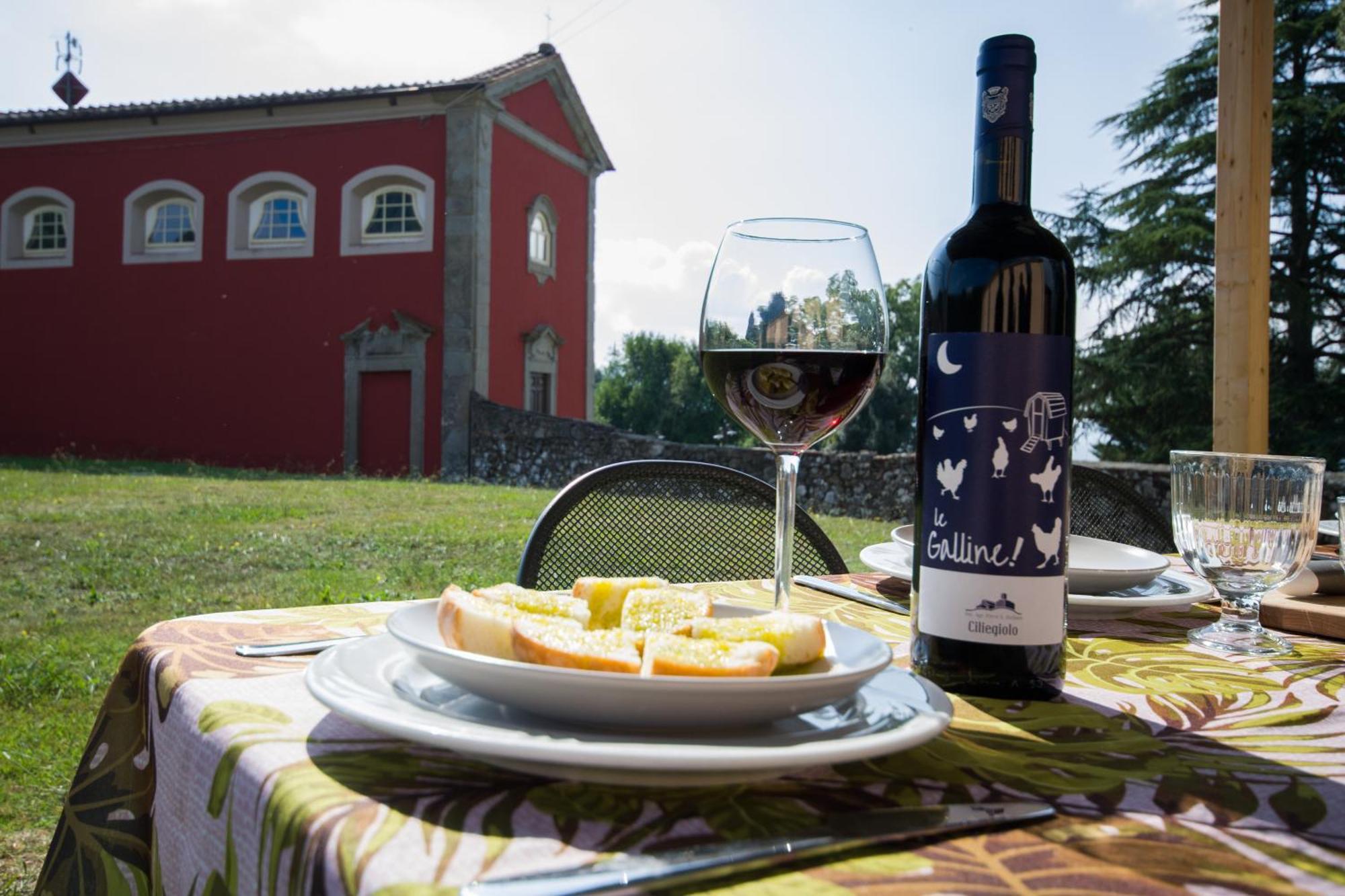 Agriturismo Villa Sardini لوكا المظهر الخارجي الصورة