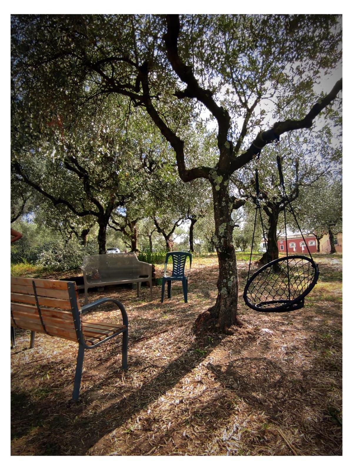 Agriturismo Villa Sardini لوكا المظهر الخارجي الصورة